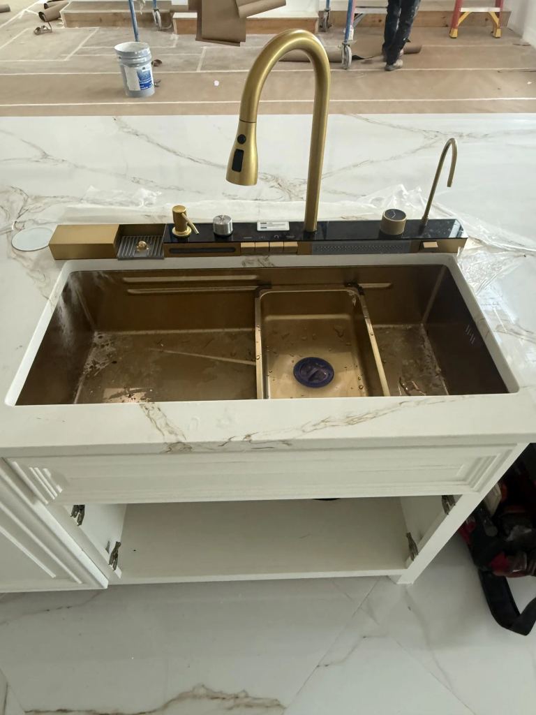 New Construction Plumbing for a Custom Home in Beauxart Gardens — photo 4